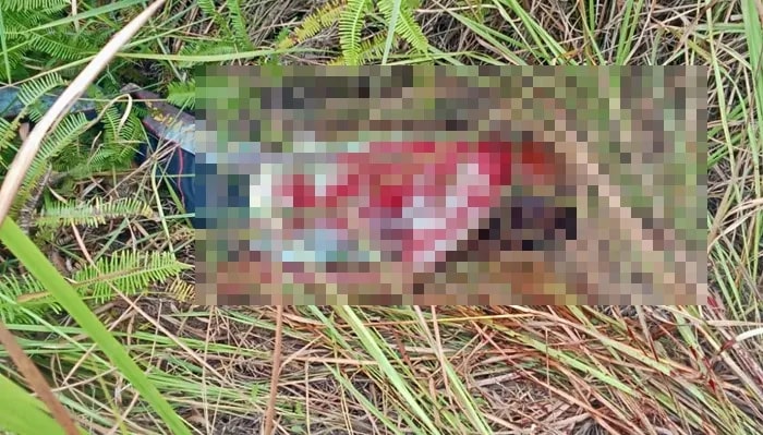 Dodos Sawit Tanpa Penutup Bikin Leher Remaja di Kutim Robek hingga Tewas