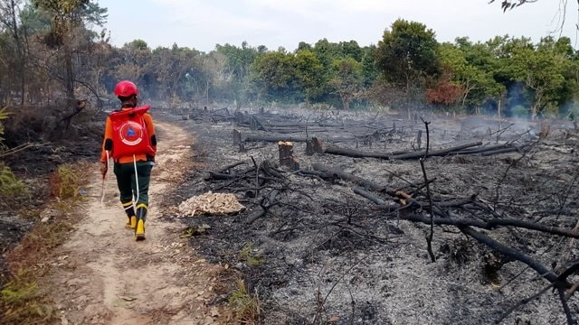 Kebakaran Lahan di Gunung Elai Bontang, Dipadamkan Dua Jam