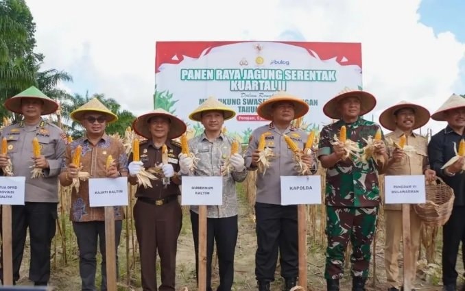 DPRD Kaltim Dukung Panen Raya Jagung Serentak, Dorong Swasembada Pangan Nasional