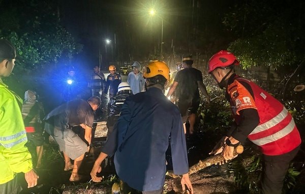 Pohon Tumbang di Tengah Badai, Brimob Sigap Buka Jalan di Balikpapan