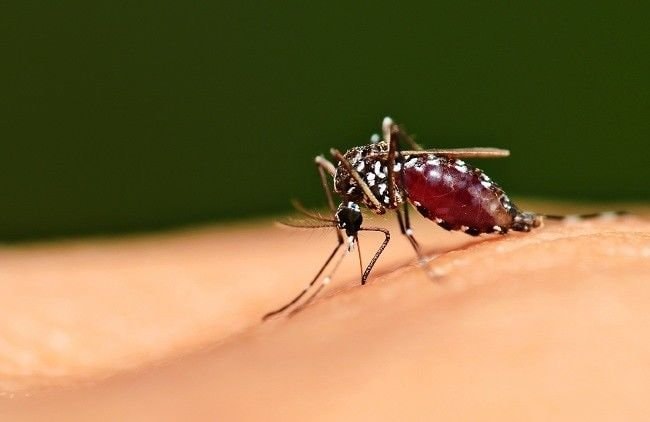 Kutim Kejar Eliminasi Malaria 2027