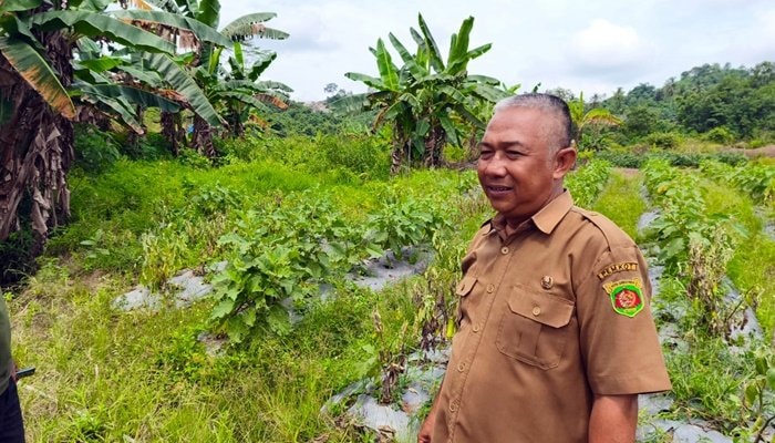 Birokrasi Ribet, Limbah Sampah Ilegal di Samarinda Bikin Sawah Mandul
