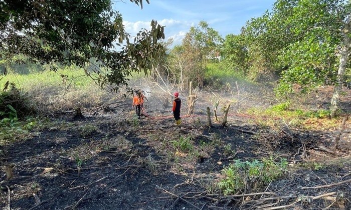 Musim Panas, Api Melahap Lahan Perkebunan di Bontang