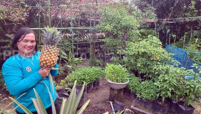 Pemanfaatan Pekarangan jadi Jurus Baru Perkuat Ketahanan Pangan Keluarga di Bontang