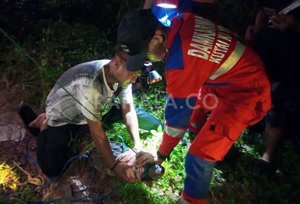 Buaya Sering Muncul di Depan Rumah Warga, Tim Damkar Kukar Kaltim Sigap Evakuasi