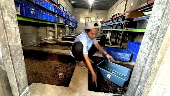 Dukung Ekonomi Sirkular, CSR PHSS Terapkan Pengelolaan Sampah Terpadu di Muara Jawa