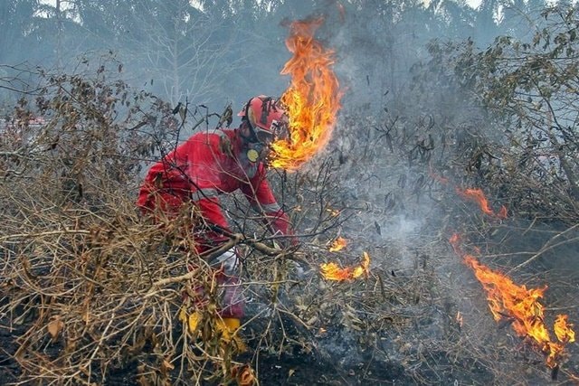 Titik Panas di Kaltim Turun Drastis jadi 78 Titik