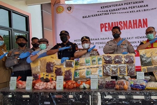 Karantina Pertanian Balikpapan Musnahkan Komoditas Ilegal, Mulai Daging Babi sampai Sarang Walet