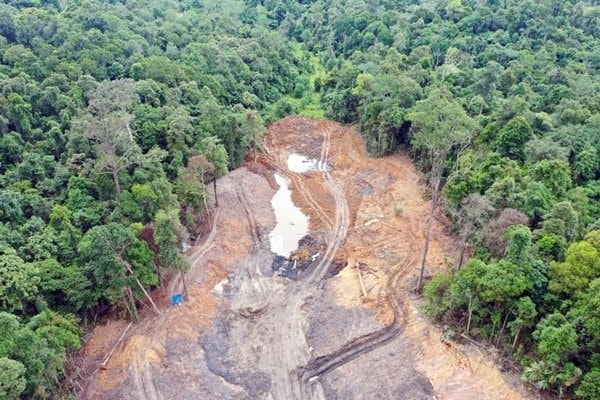 Polda Kaltim Periksa 12 Saksi Kasus Tambang Ilegal di Hutan Pendidikan Unmul Samarinda