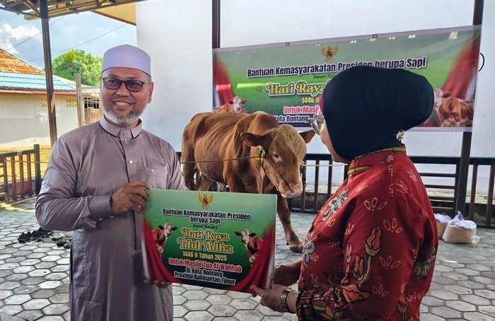 Presiden Prabowo Sumbang Sapi Simental 650 Kg untuk Masjid Tua Bontang