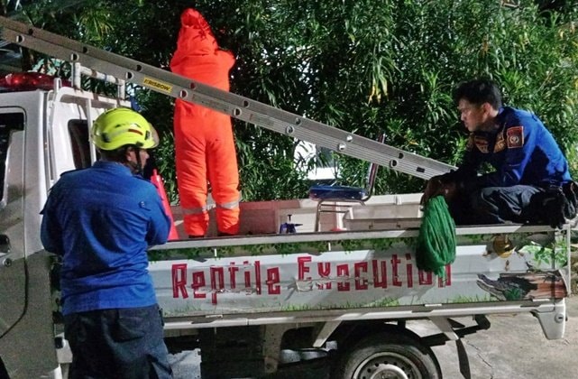 Malam-Malam Warga Bontang Cemas, Sarang Lebah Muncul di Teras Rumah
