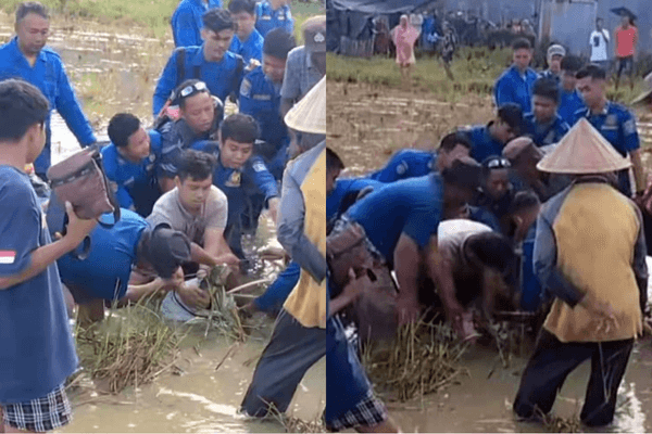 Buaya Masuk Sawah, 20 Personel Dikerahkan di Kampung Kokoa Pangkep