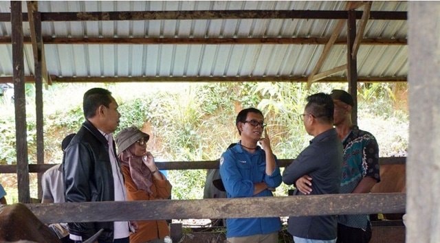 Pansus DPRD Kaltim Temukan Kendala di Proyek Desa Ternak Kutim, Ini Catatannya