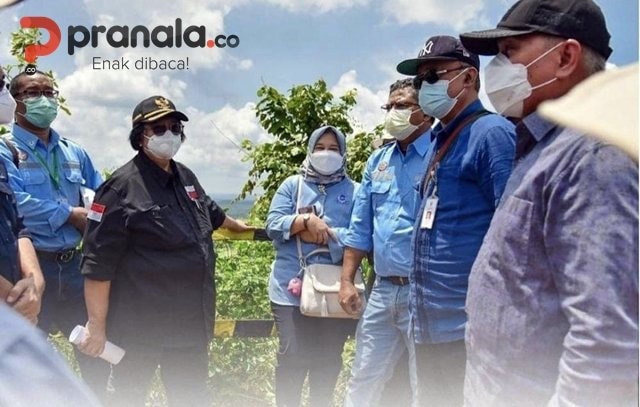 Menteri LHK: Pengembangan IKN Tak akan Ganggu Kawasan Konservasi