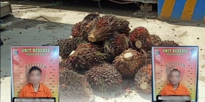 Curi 400 Kg Sawit, Dua Pria di Kukar Ditangkap saat Hendak Jual