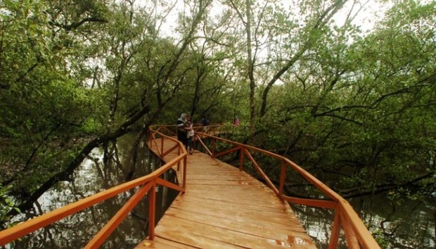 11 Objek Wisata di Penajam Paser Utara Ditutup Sementara