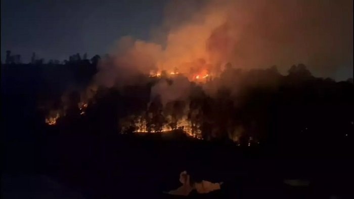Diduga Sengaja Dibakar, Lima Hektare Hutan dan Lahan di Balikpapan Membara