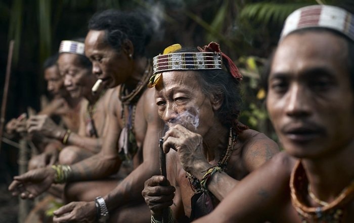 Suku Punan; Suku Dayak Pedalaman Penjaga Hutan Rimba