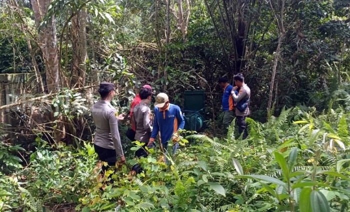 Bikin Geger! Beruang Masuk Pemukiman Muara Kaman Kaltim