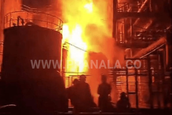 Perusahaan CPO di Bontang Lestari Terbakar