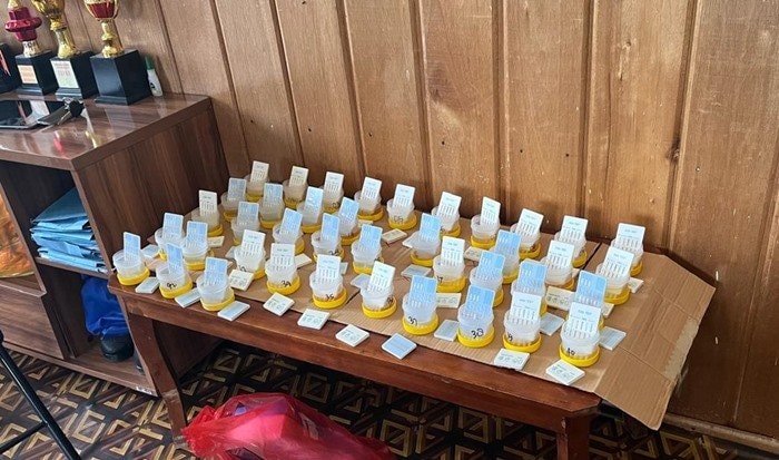 Tes Urine Dadakan di Desa Marukangan Kutim, 6 Pegawai Positif Narkoba, Kepala Desa Langsung Pecat