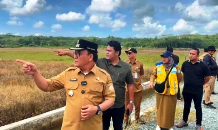 Petani Balikpapan Siap Panen 3 Kali, Irigasi Rp4,8 M Dikebut