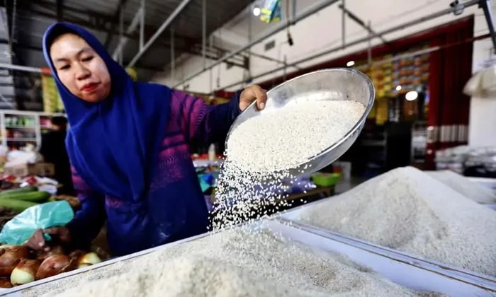 Produksi Beras Lokal Kutai Timur Defisit 25 Ribu Ton
