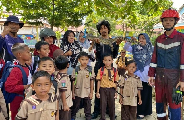 Sempat Bikin Panik, Anak Buaya Muncul saat Jam Pulang TK di Sangatta