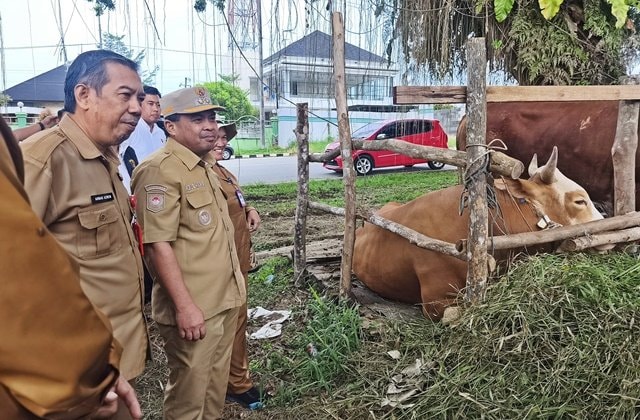 Stok Hewan Kurban di Bontang Aman, Mayoritas dari Jawa Timur