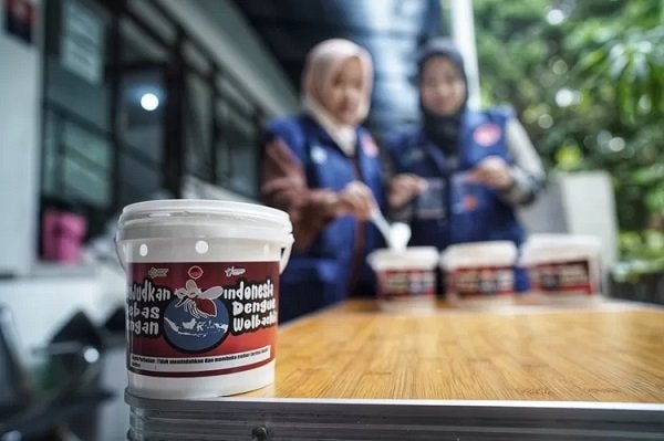 Inovasi Nyamuk Wolbachia, Senjata Ampuh Perangi Lonjakan Kasus DBD di Bontang