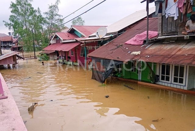 Tinggi Banjir Capai 2 Meter, Warga di Bibir Sungai Sangatta Terdampak Parah