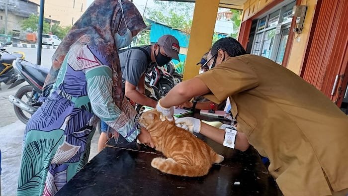 3 Ribu Dosis Vaksin Sasar Hewan Peliharaan Warga Bontang
