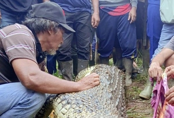 Hilang 15 Jam, Pria di Kutai Timur Tewas Disambar Buaya saat Memancing