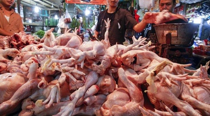 Ayam Potong di Bontang Diklaim Halal, Semua Juru Potong Bersertifikat