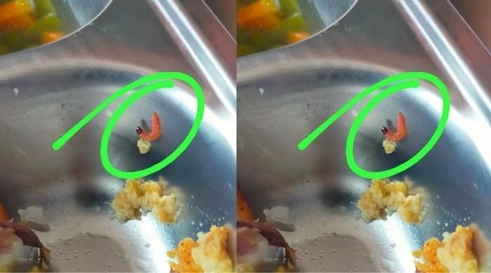 Ada Ulat di Menu Makan Bergizi Gratis, Kagetkan Siswa SD di Pangkep