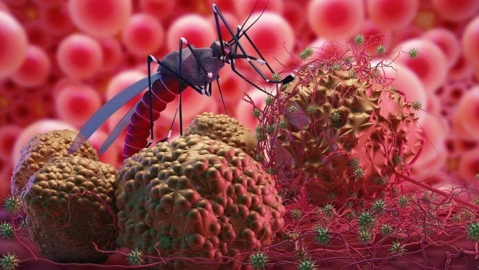 Enam Poin Kesepakatan Eliminasi Malaria di Kaltim