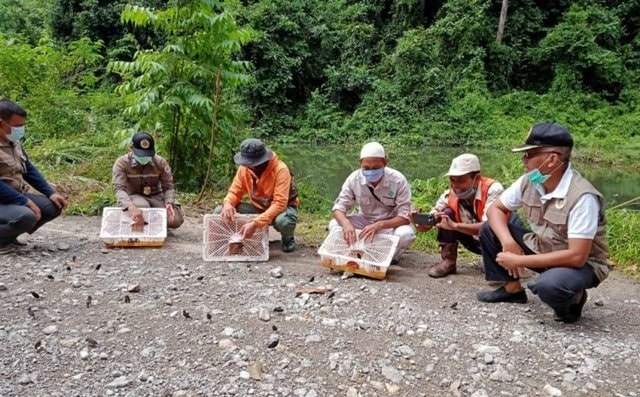 Ratusan Burung Dilepasliarkan ke Hutan Kaltim