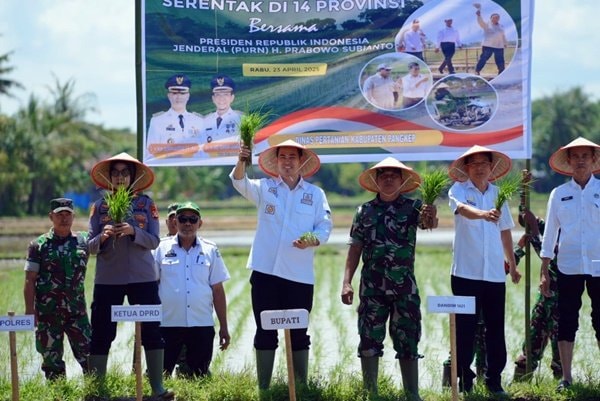 Bupati Pangkep Ikut Tanam Padi Serentak, Target 14 Ribu Hektare di Musim Tanam Kedua