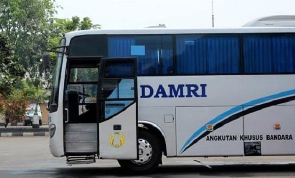 Ke IKN Nusantara Bisa Naik Bus Damri, Berikut Jadwal dan Tarifnya
