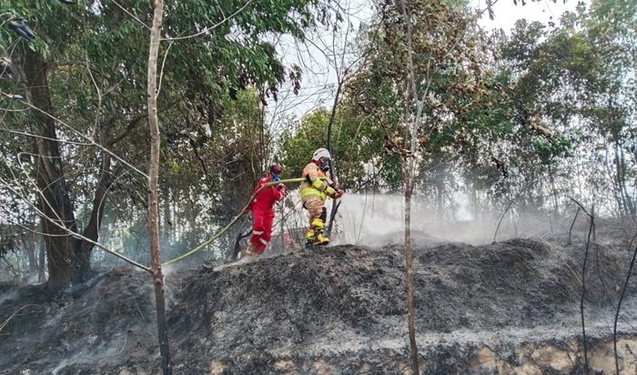 Karhutla di Depan Hotel Oak Tree Bontang Berhasil Dipadamkan dalam Satu Jam