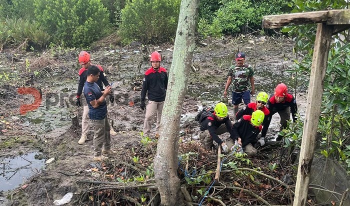 Buaya Masuk Kolong Rumah di Bontang, Evakuasi Dramatis Dua Jam