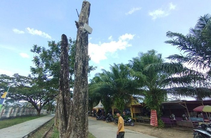 Jaringannya Lelet, WiFi Gratis Pemkot Bontang Dikeluhkan