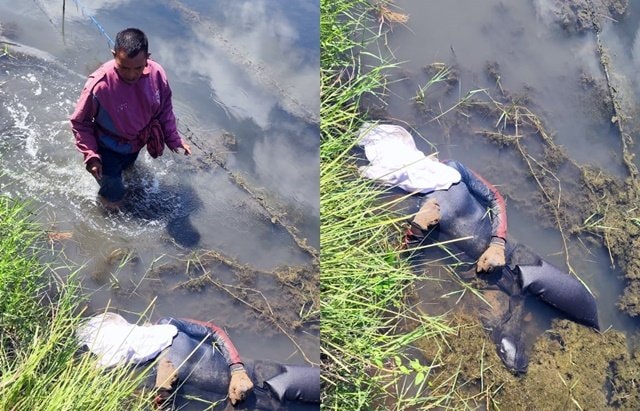 Diduga Terpeleset, Petambak di Pangkep Meninggal Dunia di Area Empang