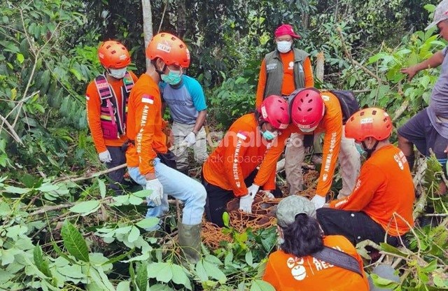 Orangutan Masuk Pekarangan Warga Kaubun Kutim