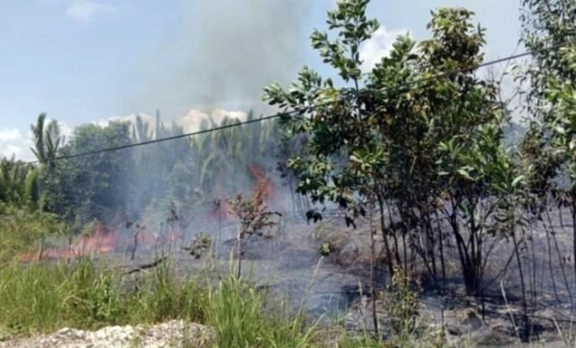 BMKG Ingatkan Potensi Karhutla di Kaltim, Titik Panas Meningkat Tajam