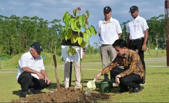 Wapres Gibran Tanam Pohon Ulin di IKN, Simbol Pembangunan Berkelanjutan
