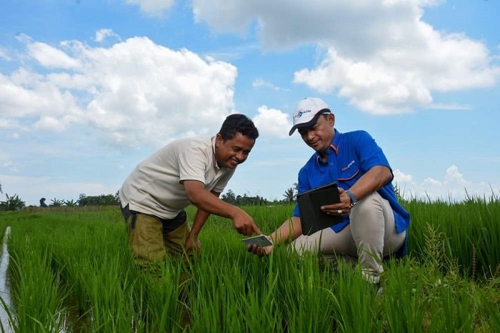 Masuki Musim Tanam Maret, Pupuk Kaltim Pastikan Stok Pupuk Aman