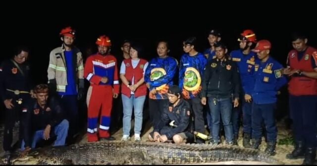 Buaya 4 Meter yang Diduga Terkam Bocah di Kenyamukan Kutim Akhirnya Ditangkap