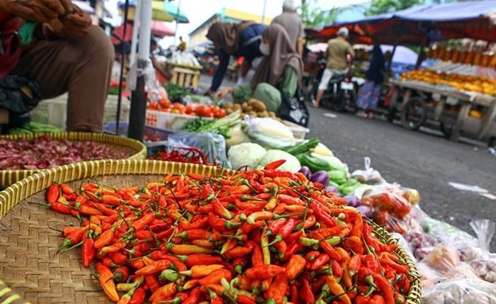 Harga Cabai di Kutim Mulai Turun, Pasokan Berangsur Pulih