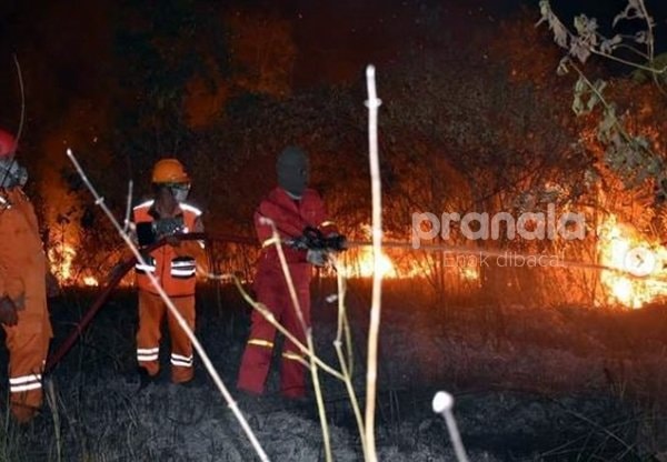 Akibat Karhutla, 214 Hektare Lahan Bontang Ludes kurun 2 Tahun